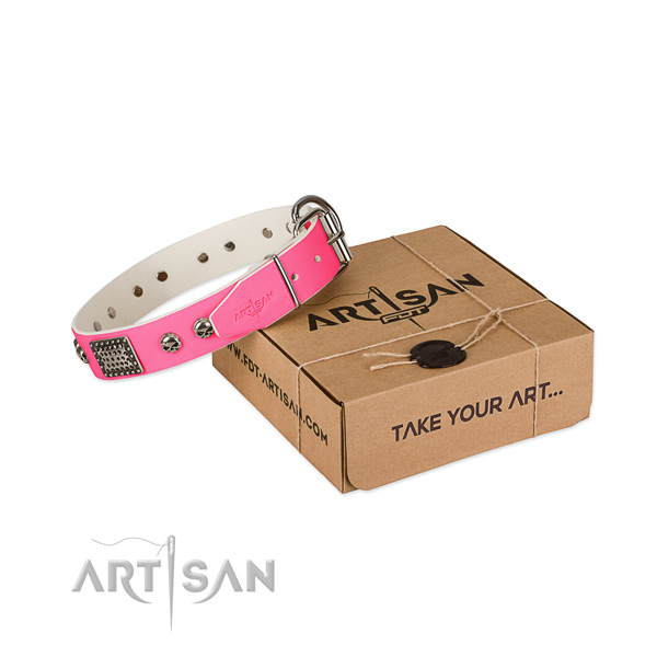 Durable studs on dog collar for daily walking
