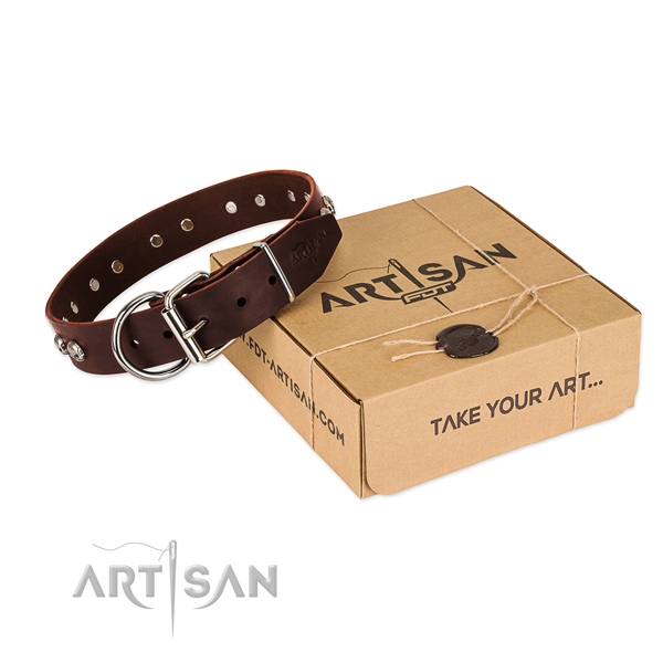 Rust-proof studs on dog collar for easy wearing