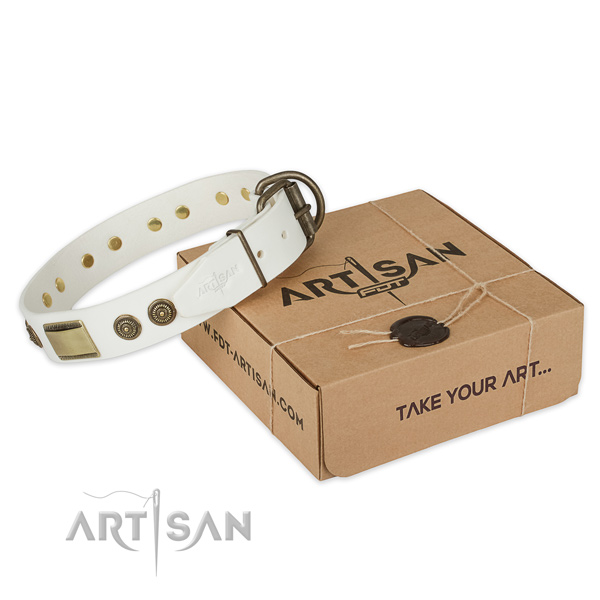 Reliable buckle on natural genuine leather dog collar for daily use