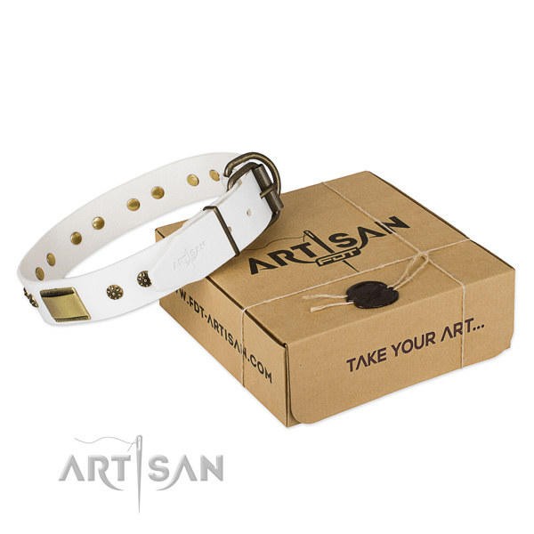 Inimitable full grain natural leather collar for your impressive pet