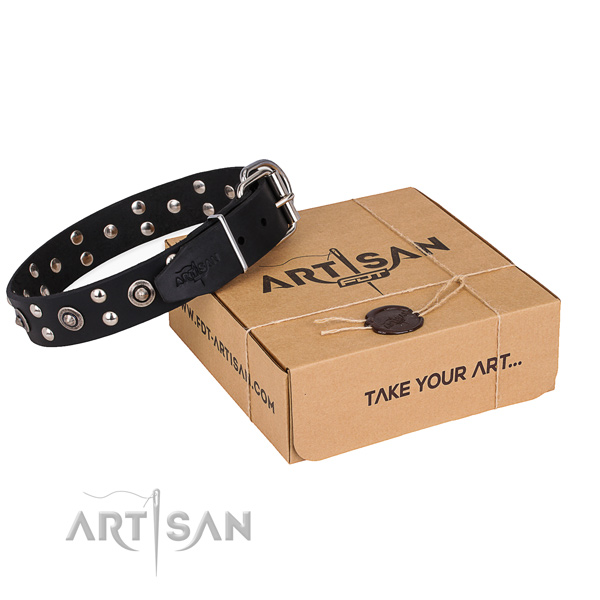 Stylish walking dog collar with Amazing reliable embellishments