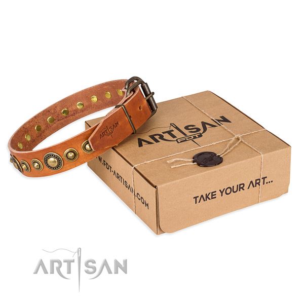 Flexible full grain genuine leather dog collar crafted for fancy walking