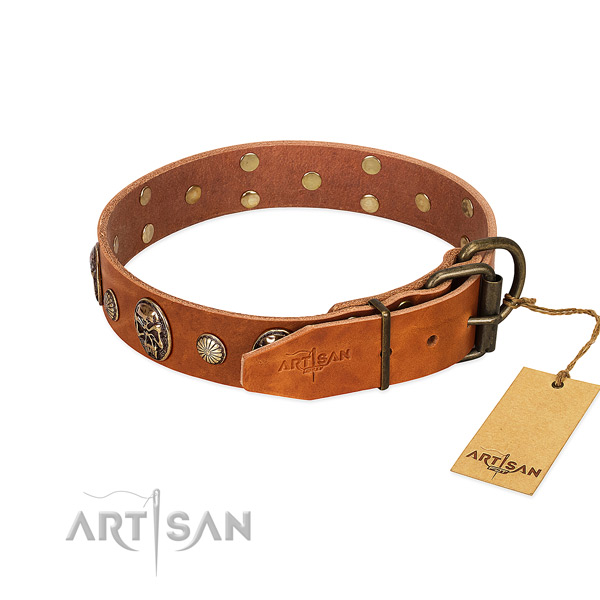 Corrosion resistant buckle on full grain genuine leather collar for stylish walking your doggie