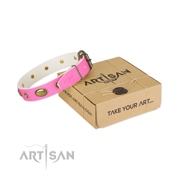 Unusual leather collar for your stylish pet
