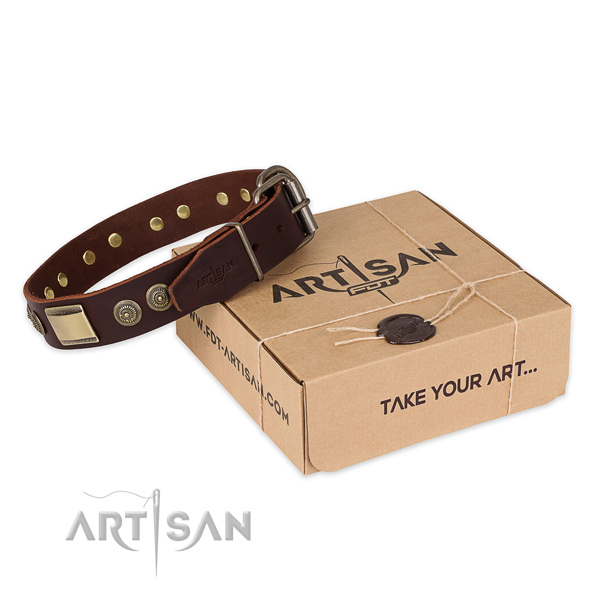 Rust-proof D-ring on full grain natural leather dog collar for easy wearing