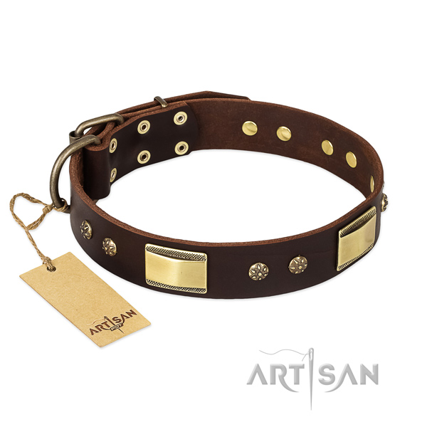 Full grain leather dog collar with reliable traditional buckle and adornments