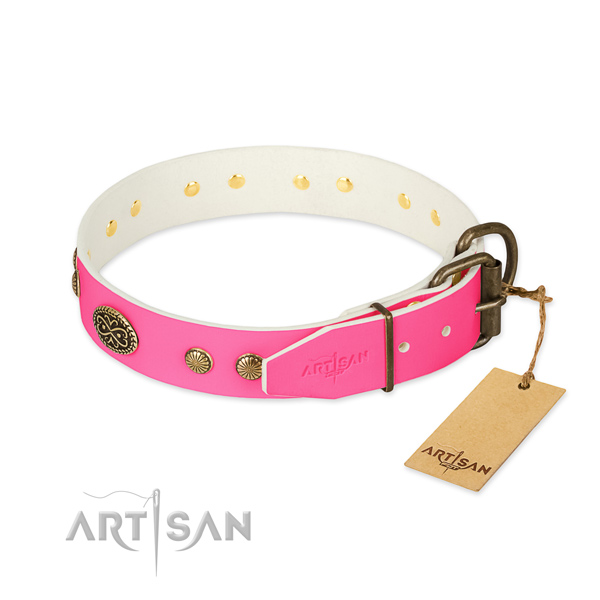 Corrosion resistant studs on genuine leather dog collar for your canine