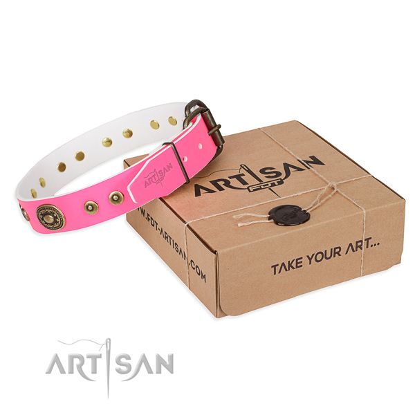 Full grain leather dog collar made of gentle to touch material with rust-proof hardware