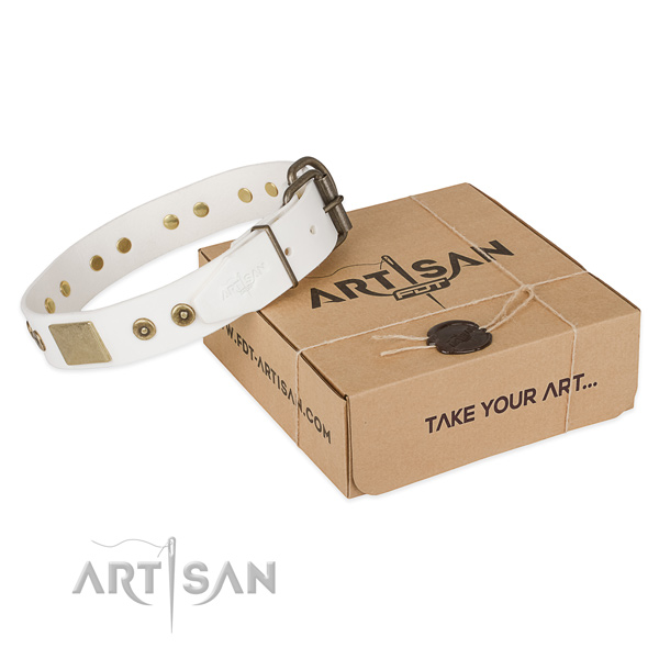 Exquisite genuine leather collar for your handsome pet