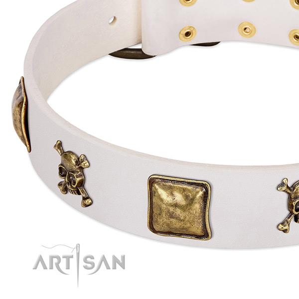 Fashionable full grain natural leather dog collar with rust resistant embellishments