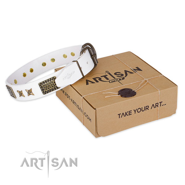 Durable D-ring on full grain genuine leather collar for your beautiful dog