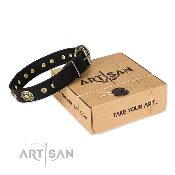 Durable D-ring on full grain natural leather dog collar for basic training
