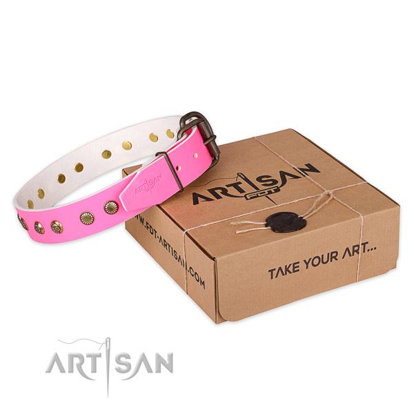 Corrosion resistant hardware on full grain leather collar for your stylish four-legged friend