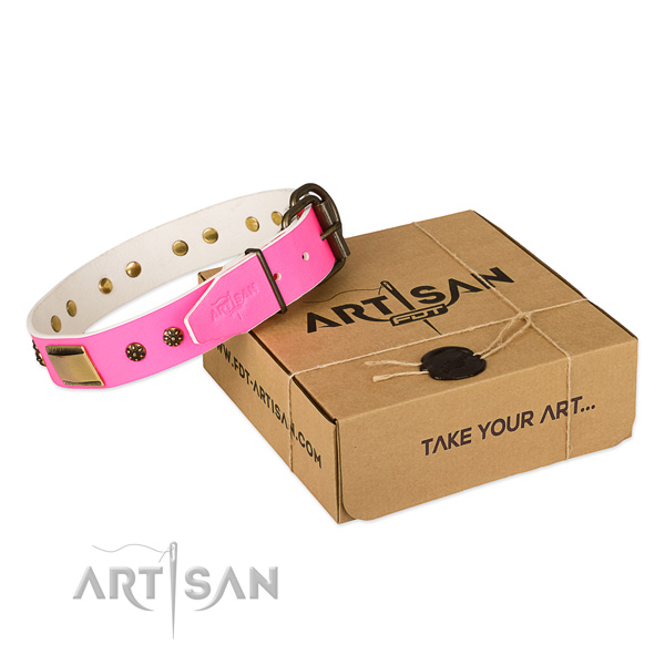 Adorned full grain leather collar for your attractive dog