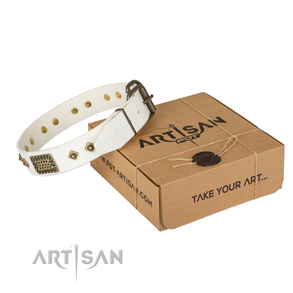 Adjustable genuine leather collar for your attractive pet