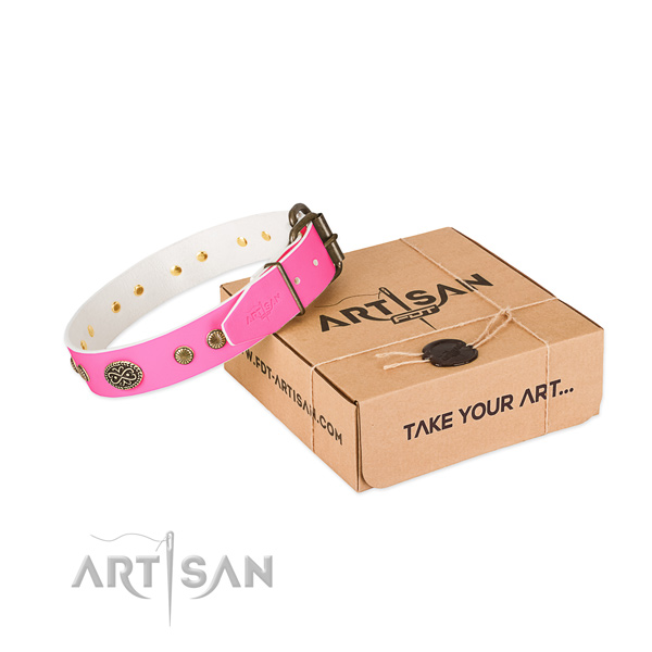 Rust resistant embellishments on leather dog collar for your doggie