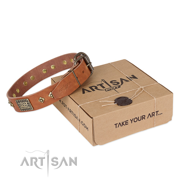 Stylish design leather collar for your stylish pet