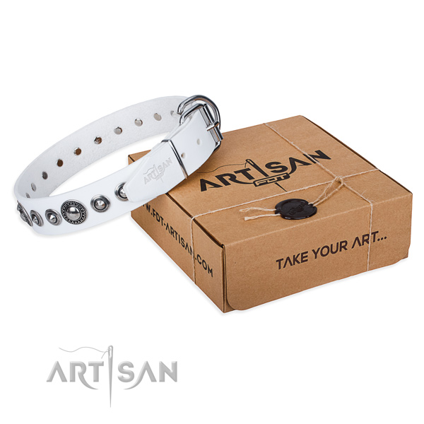 Full grain genuine leather dog collar made of quality material with rust-proof D-ring