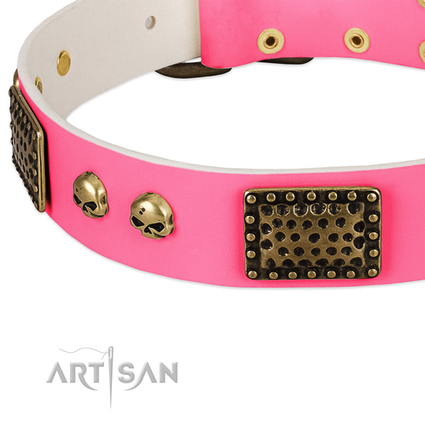 Corrosion proof fittings on genuine leather dog collar for your pet