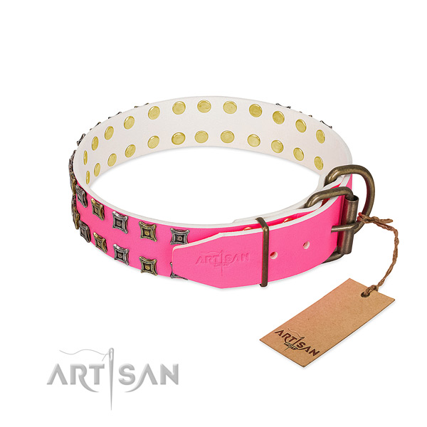 Genuine leather collar with significant studs for your four-legged friend