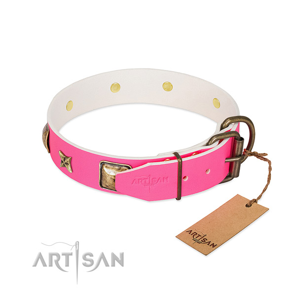 Strong buckle on full grain leather collar for everyday walking your four-legged friend