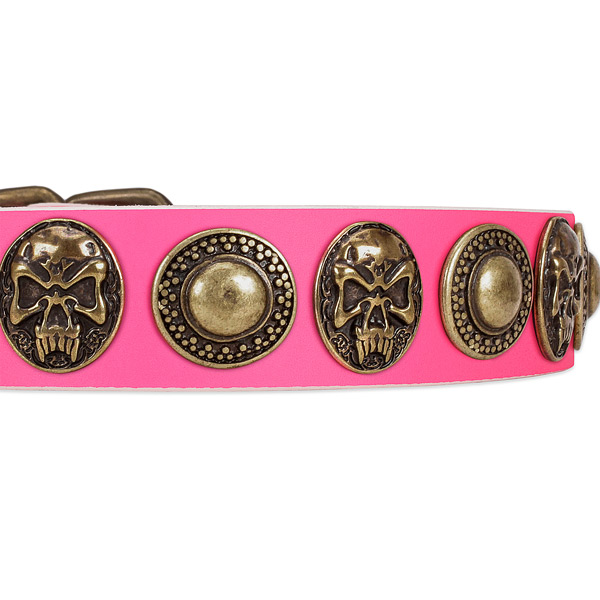 Corrosion proof decorations on leather dog collar for your dog