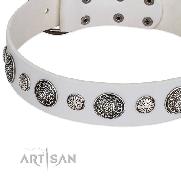 Leather collar with durable traditional buckle for your impressive dog