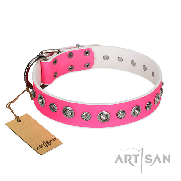 Quality full grain natural leather dog collar with top notch embellishments
