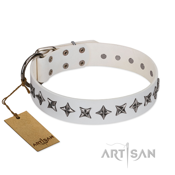 Daily use dog collar of finest quality full grain genuine leather with embellishments