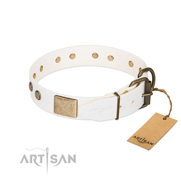 Reliable D-ring on easy wearing dog collar