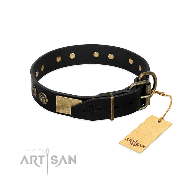 Corrosion resistant embellishments on genuine leather dog collar for your canine