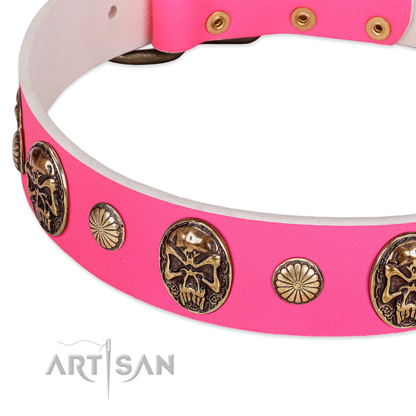 Corrosion resistant decorations on natural genuine leather dog collar for your doggie
