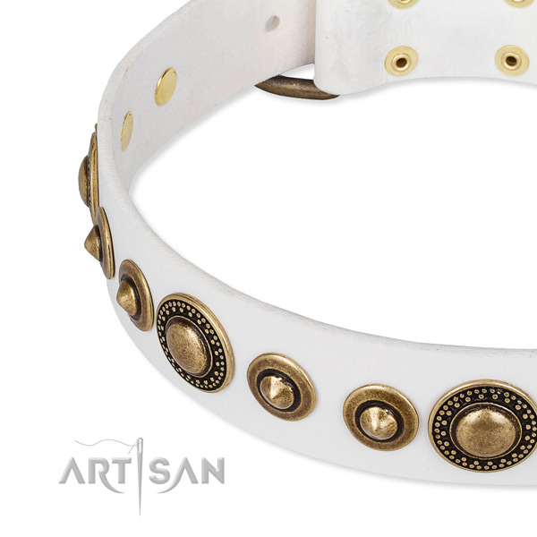 High quality full grain natural leather dog collar handmade for your beautiful doggie