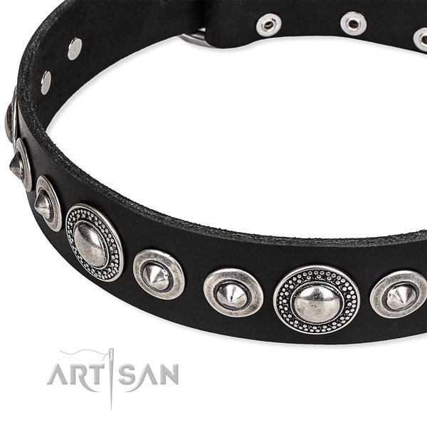 Daily use adorned dog collar of finest quality full grain genuine leather