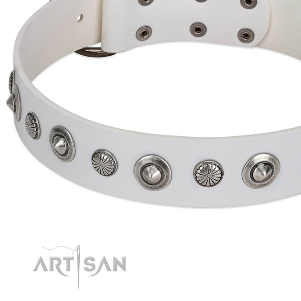 Natural leather collar with corrosion resistant hardware for your lovely pet