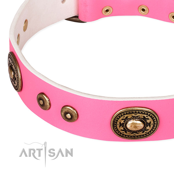 Full grain natural leather dog collar made of soft material with adornments