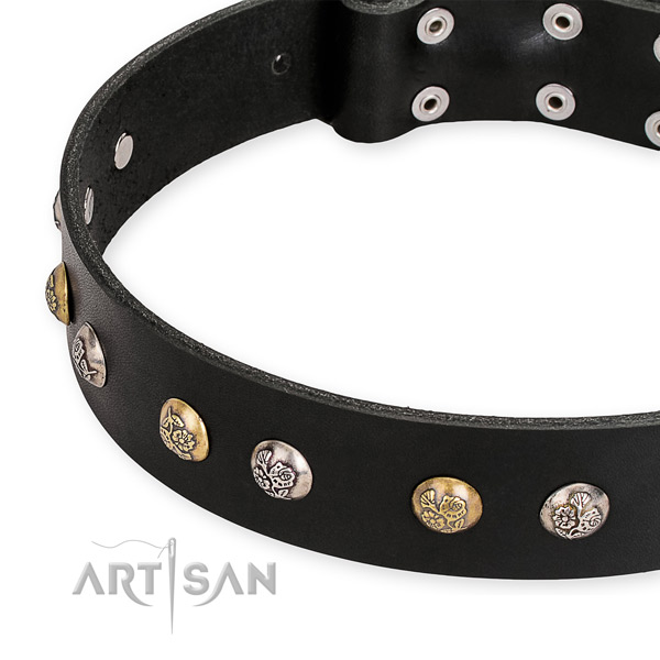Full grain genuine leather dog collar with trendy corrosion resistant decorations