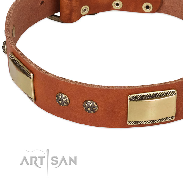 Strong adornments on leather dog collar for your dog