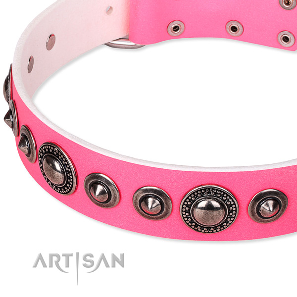 Stylish walking adorned dog collar of best quality full grain leather