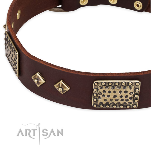 Corrosion resistant buckle on genuine leather dog collar for your pet