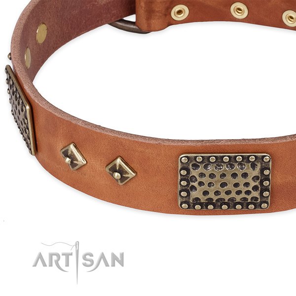Corrosion proof adornments on leather dog collar for your four-legged friend