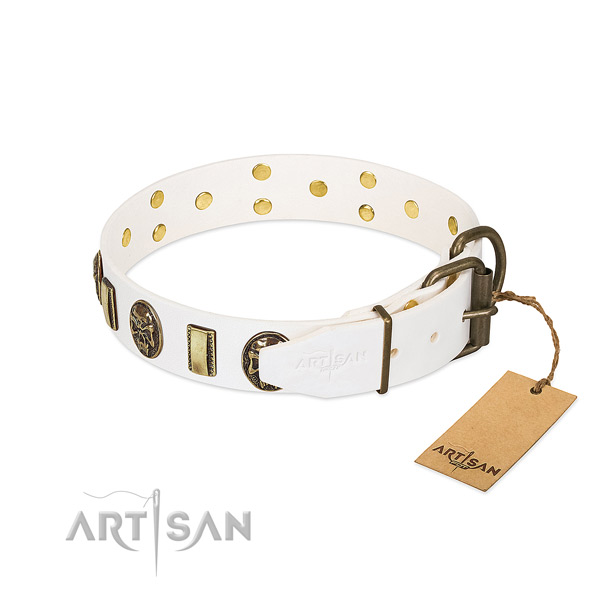 Corrosion proof fittings on full grain leather collar for basic training your canine