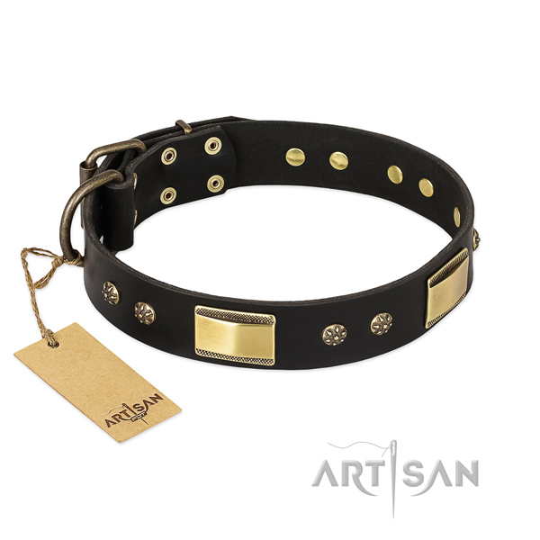 Unusual natural leather collar for your four-legged friend