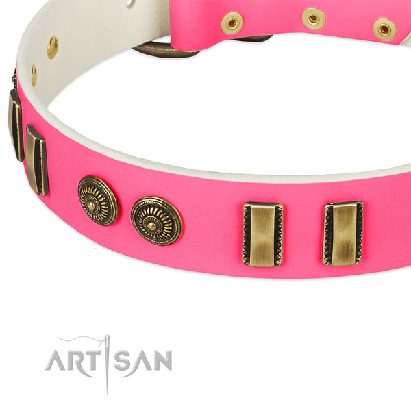 Strong decorations on natural leather dog collar for your pet