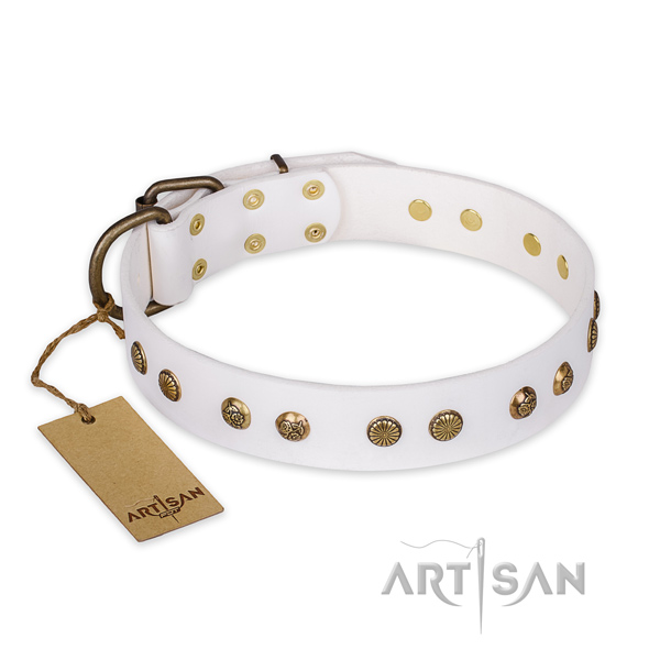 Awesome leather dog collar with reliable traditional buckle