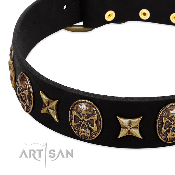 Corrosion resistant studs on natural genuine leather dog collar for your pet