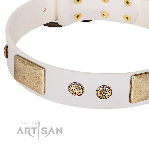 Strong D-ring on leather dog collar for your dog