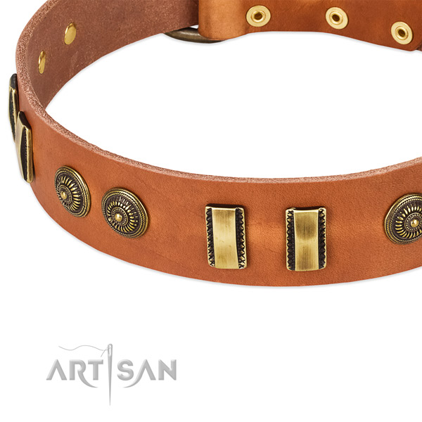 Corrosion resistant adornments on genuine leather dog collar for your dog