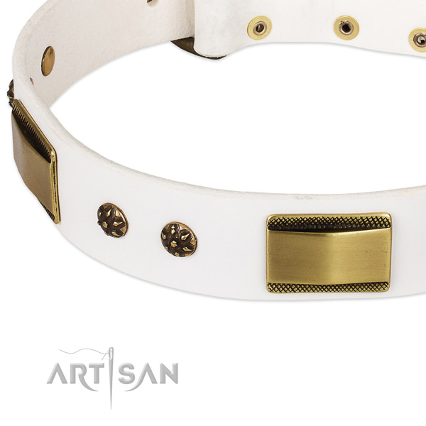 Rust-proof D-ring on natural genuine leather dog collar for your dog