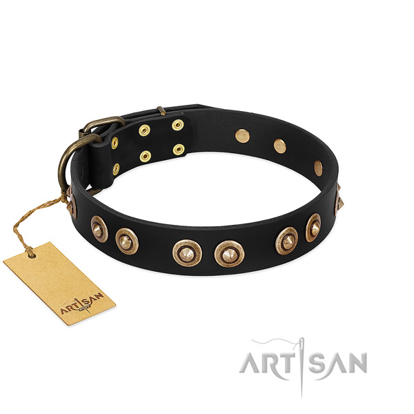 Rust resistant D-ring on leather dog collar for your pet